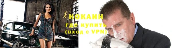 прущие грибы Армянск