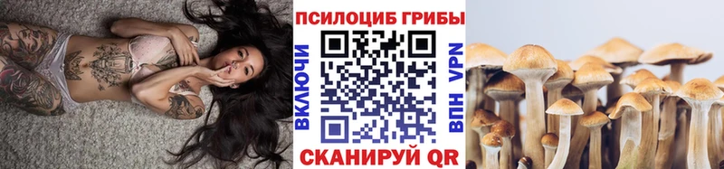 Галлюциногенные грибы Cubensis купить Новопавловск