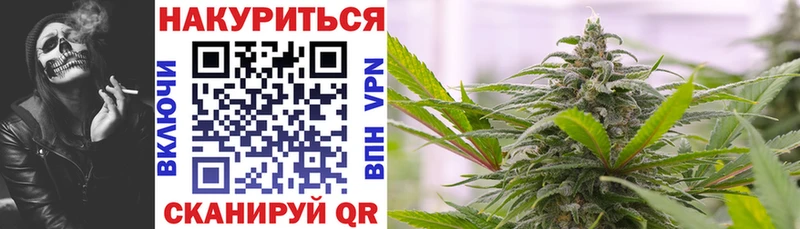 Бошки Шишки Amnesia Новопавловск